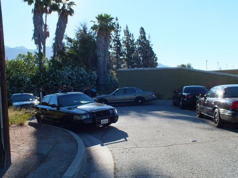 2003 Ford Crown Victoria - black Ford sedan with a push bar parks at a lot edge among other sedans by a green wall.