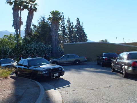 2003 Ford Crown Victoria - Black Ford sedan with push bar sits at the curb near palms, a silver sedan and a green wall.