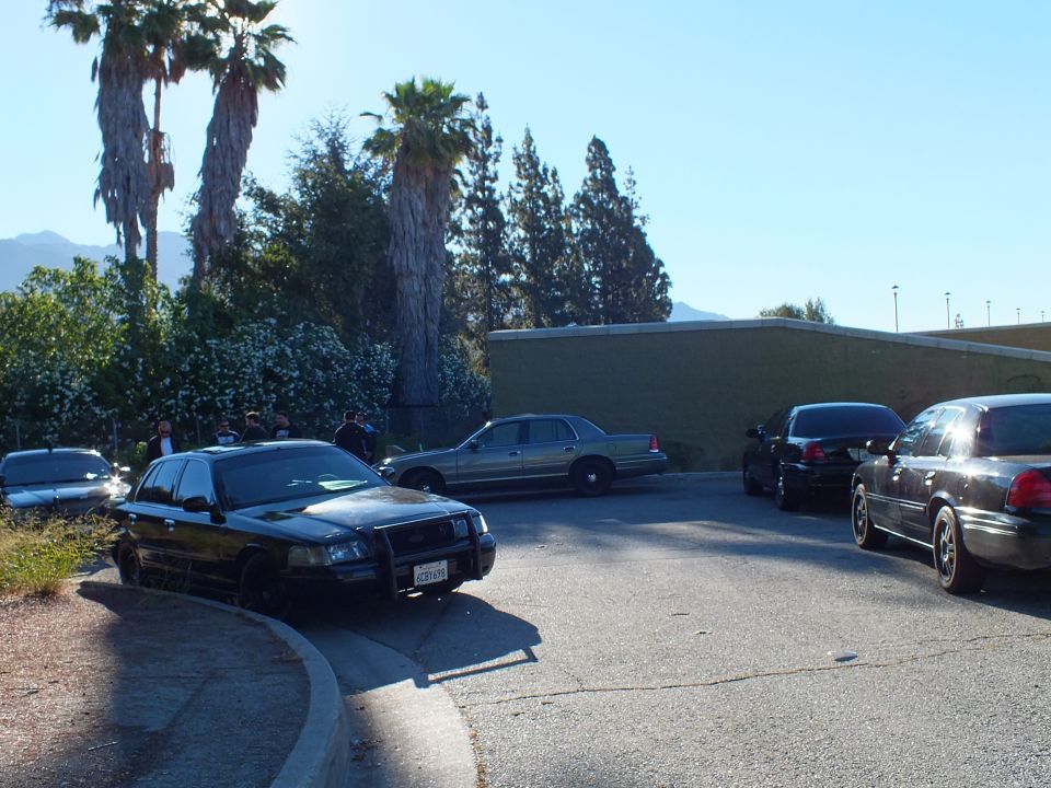 Black Crown Victoria with push bar parked at curb, silver sedan and others, palms and green building