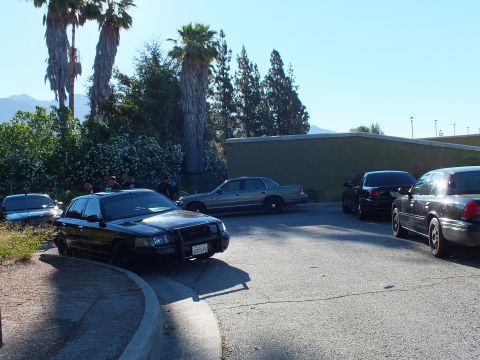 2003 Ford Crown Victoria - black Ford with a push bar anchors a row of sedans beside a green wall and palm trees.