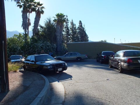 2003 Ford Crown Victoria - Black Ford sedan with push bar parks at the curb among others by palms and a green wall.