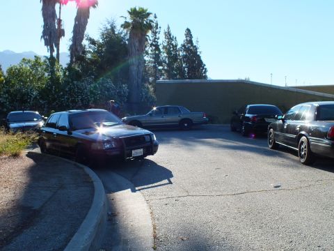 2003 Ford Crown Victoria - Sun glares off a black sedan at a lot edge with a silver Ford and palms in the background.