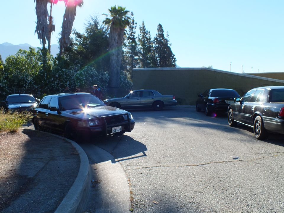 Black sedan with sun glare at lot edge, silver Crown Victoria and dark sedans, palms, green building