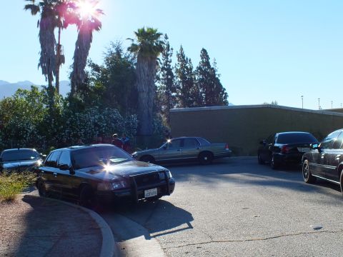 2003 Ford Crown Victoria - Black and silver Ford sedans curve through a hillside lot beneath palms and a green wall.