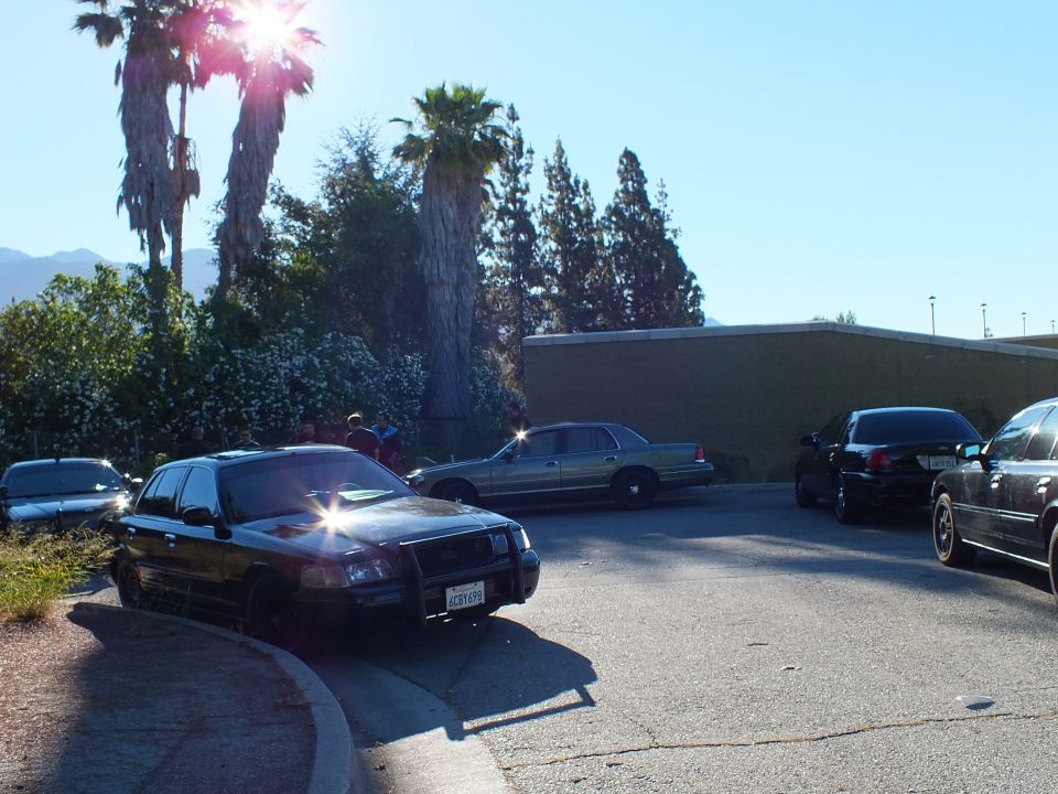 Black sedan with sun reflection at curb, silver and dark sedans in curving lot, palms, green building
