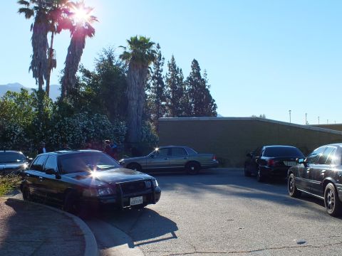 2003 Ford Crown Victoria - black Ford sedan with push bar parks among others as sun flares through tall palm trees.