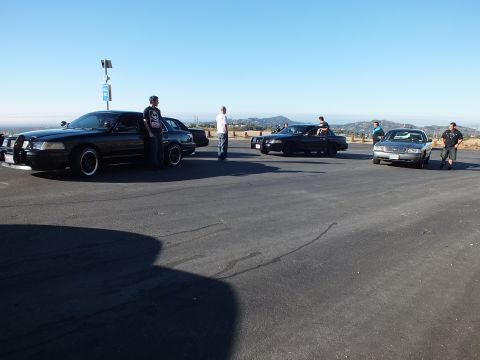 2003 Ford Crown Victoria - Car club meet with lowered black and silver full-size sedans lined up on a paved hilltop