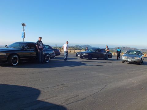 2003 Ford Crown Victoria - Several Panther-platform sedans and bystanders spread across a sunny ridge-top lot