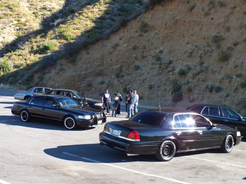 2003 Ford Crown Victoria - Group of dark full-size Panther-platform sedans gathered in a paved lot with people nearby.