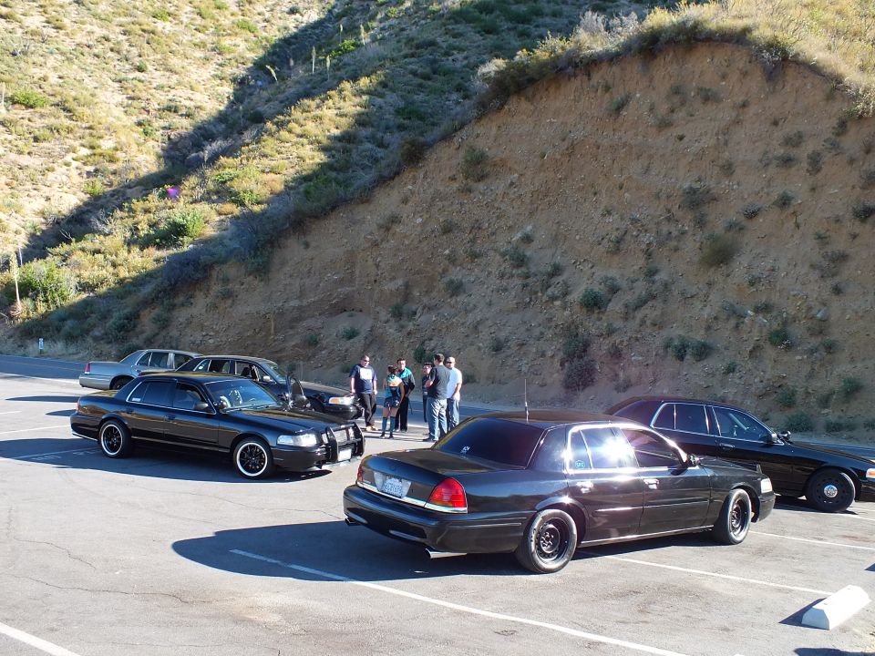 Cluster of black full-size sedans parked below dirt embankment with people standing
