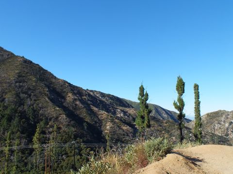 2003 Ford Crown Victoria - Three slender cypress trees stand at a dirt pullout overlooking a brushy mountain canyon.