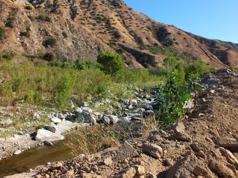 2003 Ford Crown Victoria - Water trickles over rocks in a canyon wash below eroded hillsides and scattered greenery.