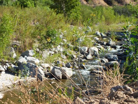 2003 Ford Crown Victoria - Water flows over rocks in a brushy canyon wash bordered by grasses and large stones.