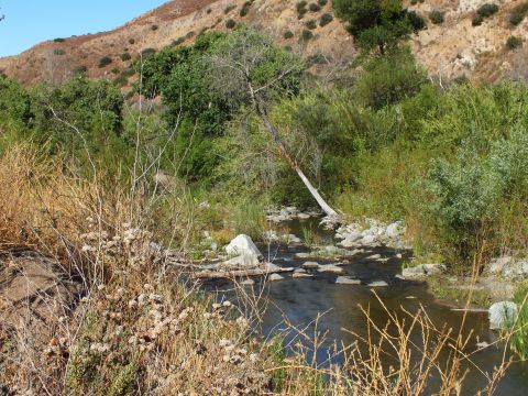 2003 Ford Crown Victoria - Shallow stream winds past boulders below scrub-covered slopes under a clear blue sky.