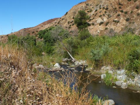 2003 Ford Crown Victoria - Rocky waterway curves through riparian growth at the base of a sunlit hillside.