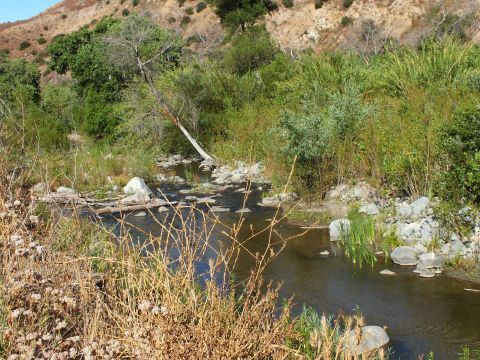 2003 Ford Crown Victoria - Still water reflects light among rocks and reeds in a brushy canyon bottom.