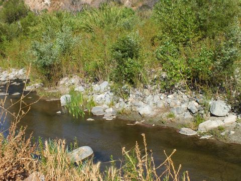 2003 Ford Crown Victoria - Clustered boulders and aquatic reeds line a calm stretch of canyon water.