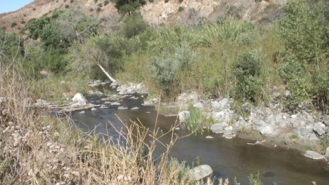 2003 Ford Crown Victoria - Quiet water pools beneath dry hillside vegetation and scattered rocks.