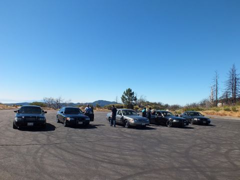 2003 Ford Crown Victoria - row of dark and silver four-door sedans gathers on an open hilltop pad.