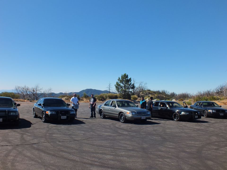 Group of Ford Crown Victoria style sedans parked at a mountain overlook with people