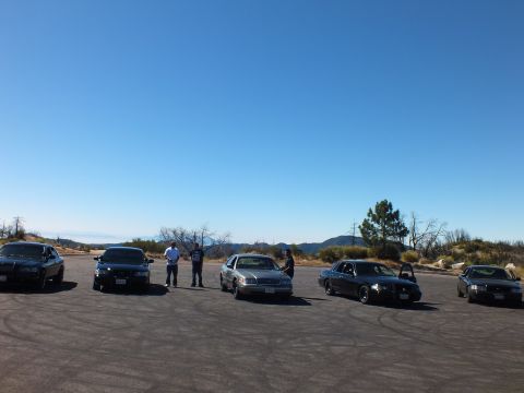2003 Ford Crown Victoria - cluster of four-door sedans sits on open pavement under a clear blue sky.