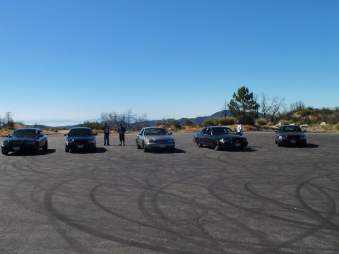 2003 Ford Crown Victoria - Black and silver four-door sedans line a skid-marked clearing under blue sky.