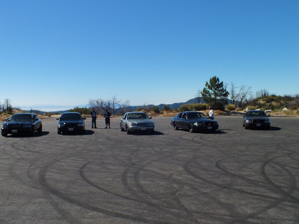 Five full-size sedans parked in a row on a hilltop lot with men standing between them
