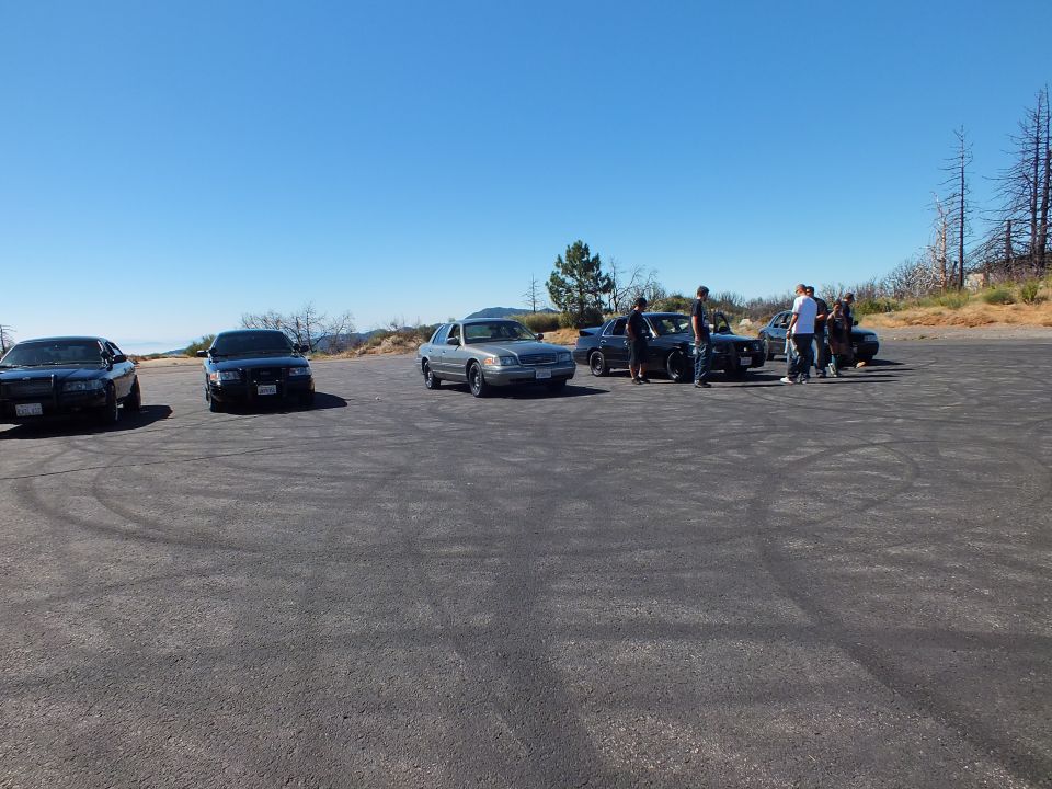 Full-size sedans parked across a wide hilltop lot with people standing near the cars
