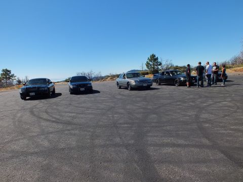 2003 Ford Crown Victoria - Black and silver four-door sedans gather as men stand together beside them.