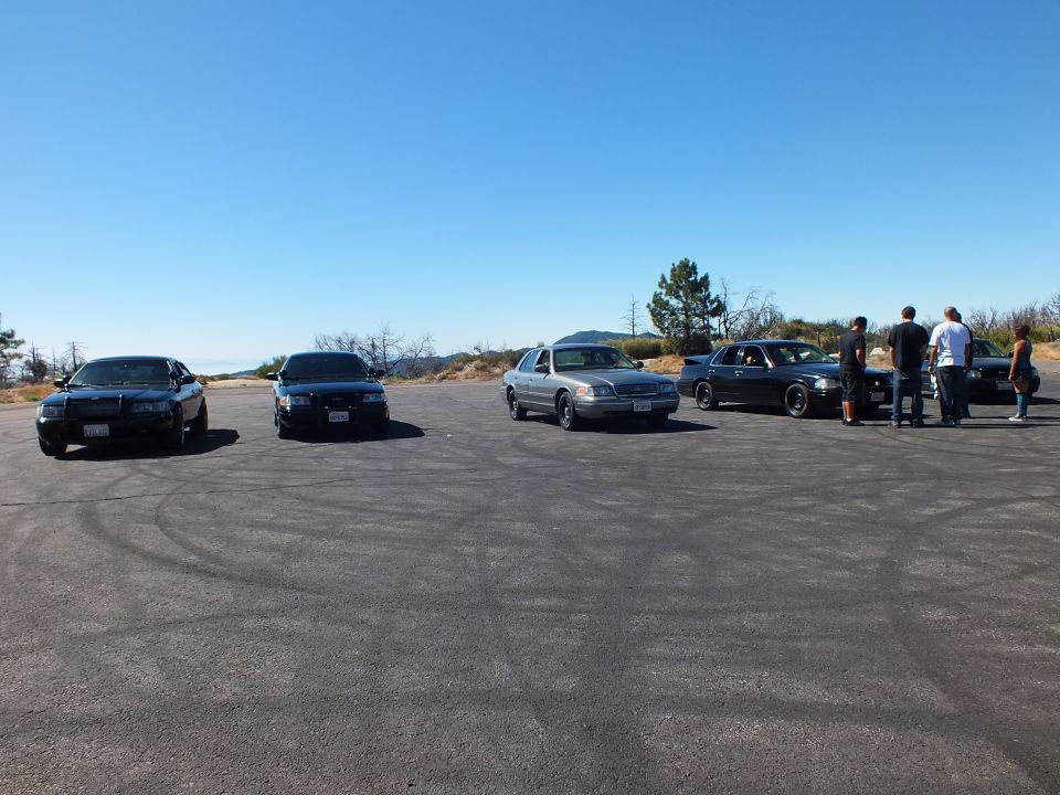 Row of full-size sedans on a hilltop lot with people standing at the right side