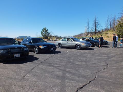 2003 Ford Crown Victoria - Police-style full-size Ford sedans sit angled on a cracked hilltop lot near people.