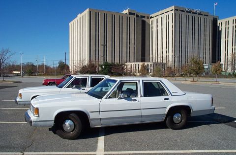 1991 Ford LTD Crown Victoria - Two Ford Crown Victorias are parked side-by-side in a parking lot with office buildings behind them.