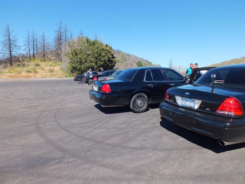 2003 Ford Crown Victoria - Rear-quarter of lined-up Panther sedans, Ford badge and tire marks on asphalt, dead trees behind