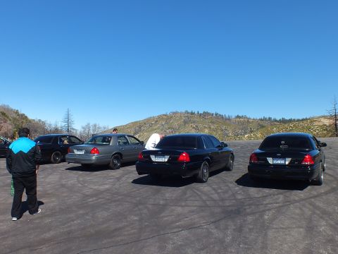 2003 Ford Crown Victoria - Mixed black and silver Crown Victorias parked across hilltop lot, rear angle, Ford trunk badges