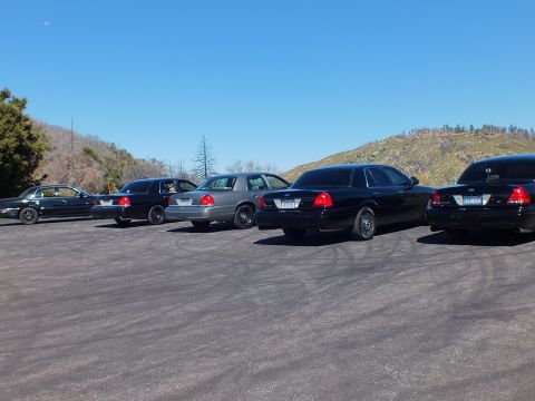 2003 Ford Crown Victoria - Five Panther sedans parked diagonally seen from behind, brush-covered hills in background