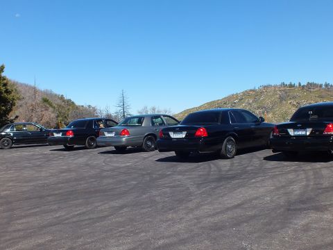 2003 Ford Crown Victoria - Lineup of black and silver Panther sedans on hilltop asphalt, rear angle, dead trees behind
