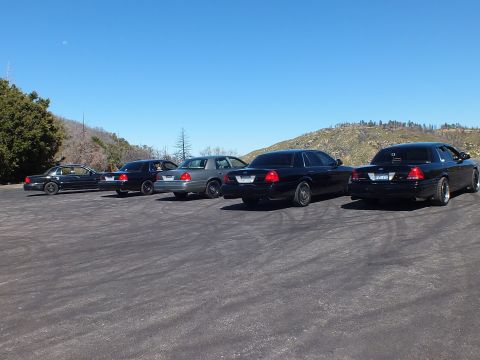 2003 Ford Crown Victoria - Five Panther sedans parked diagonally seen from rear, tire marks on asphalt, mountains behind