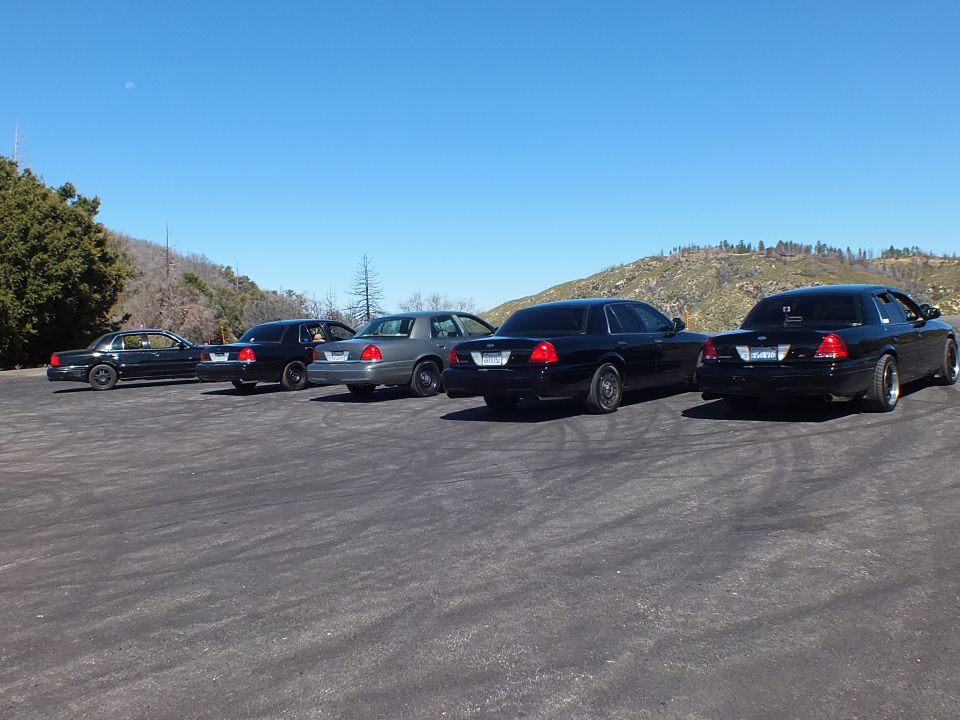 Row of black and silver Ford Crown Victoria sedans, rear angle, hillside backdrop
