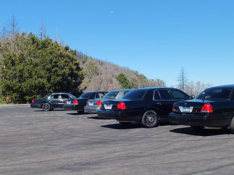 2003 Ford Crown Victoria - Panther sedan lineup seen from rear on hilltop lot, Ford trunk badges, dry hills behind