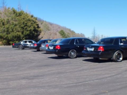 2003 Ford Crown Victoria - Out-of-focus lineup of black Panther sedans seen from behind, brushy hillside backdrop