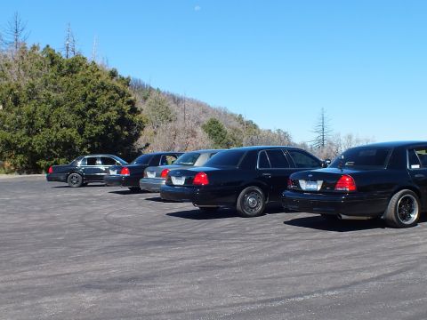 2003 Ford Crown Victoria - Crown Victoria and Grand Marquis lineup seen from rear on mountain lot, Ford badges visible