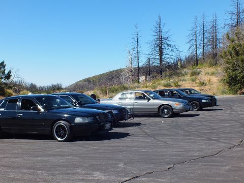 2003 Ford Crown Victoria - Lowered black Town Car leading mixed Panther sedan lineup, burned hillside trees behind