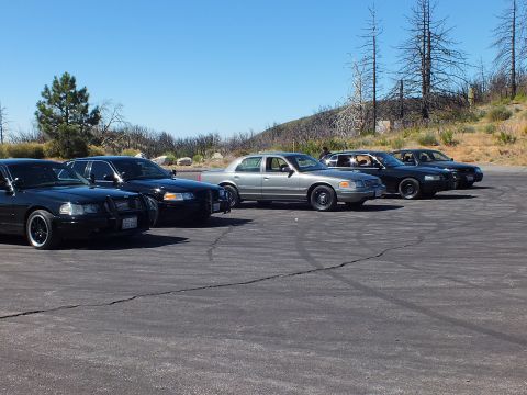 2003 Ford Crown Victoria - Row of dark full-size sedans on cracked asphalt with burned hillside and blue sky behind