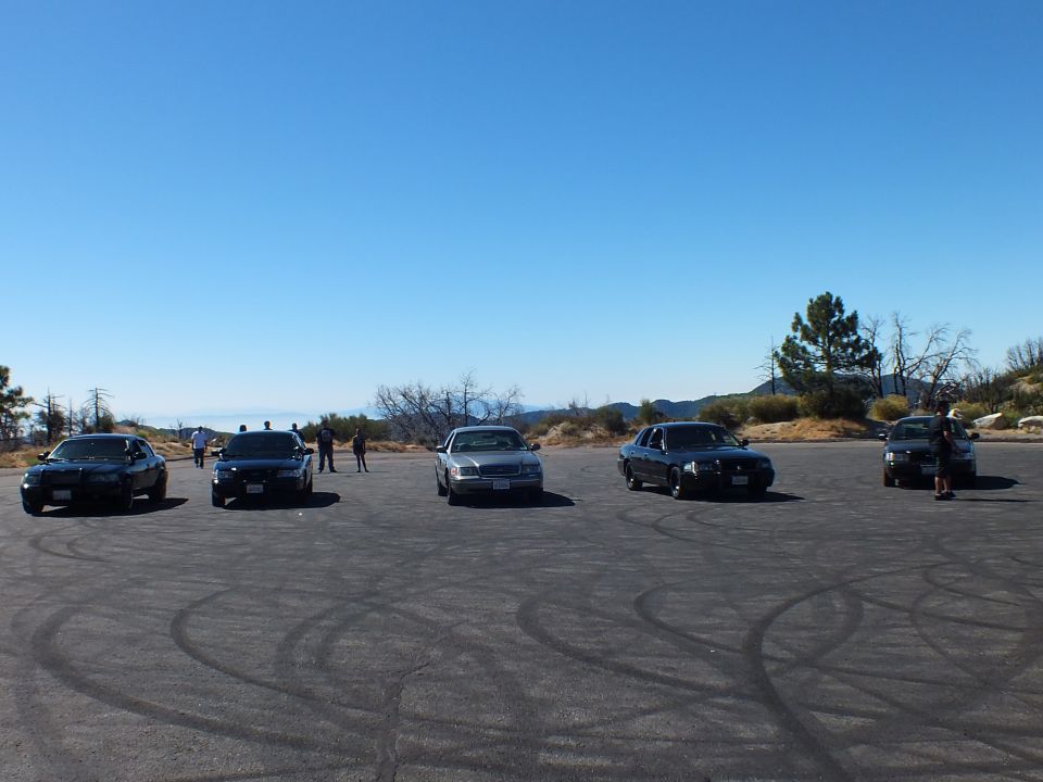 Front view of five dark sedans parked across a tire-marked mountain overlook lot