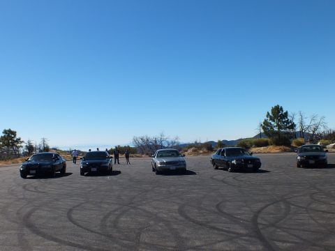2003 Ford Crown Victoria - Group gathers beside full-size cars on a tire-marked lot above a deep blue horizon