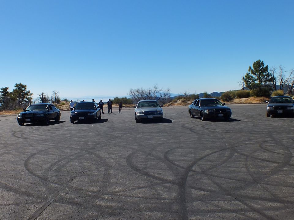 Front-facing dark sedans parked on a tire-streaked lot with people standing between