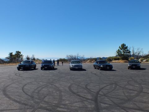 2003 Ford Crown Victoria - Dark sedans face forward on a tire-marked lot with people and pines in the distance
