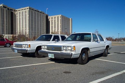 1991 Ford LTD Crown Victoria - Two white 1991 Ford Crown Victoria LTD sedans are parked side-by-side in a parking lot.