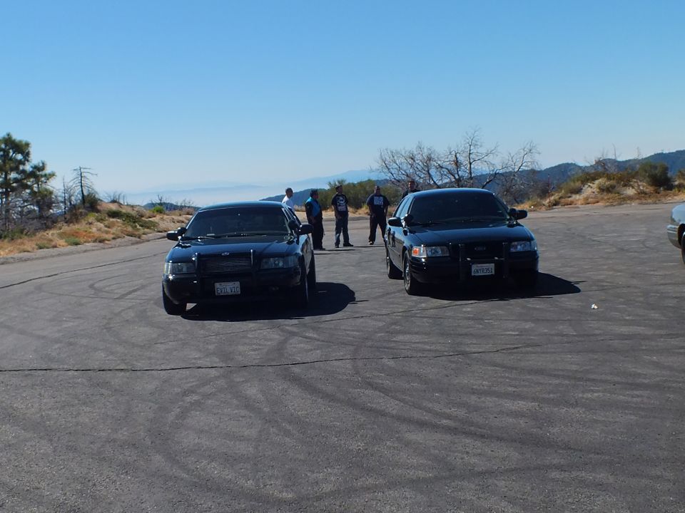 Two black Crown Victoria sedans parked front-on with people standing between them