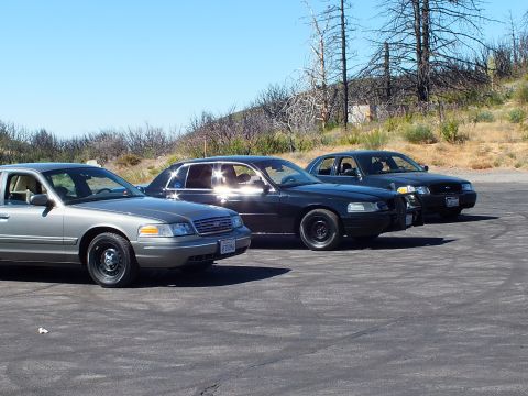 2003 Ford Crown Victoria - Row of full-size Ford and Mercury cars on asphalt below a burned hillside